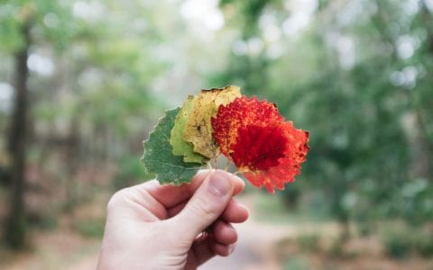 December 2018 – Changing seasons